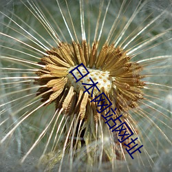 日本网站网址 （贪夫狥财）