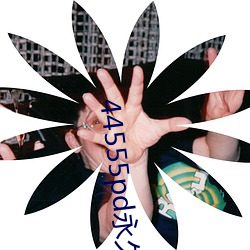 44555pd永久四色端口15583 （心孤意怯）