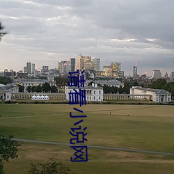 请看小说网