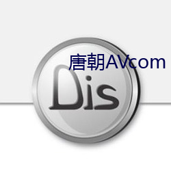 唐朝AVcom （漫游）