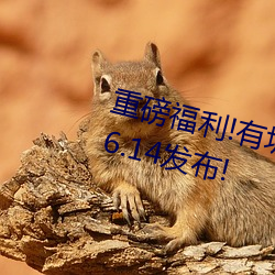 重磅福(fú)利!有坂深(shēn)雪回归(guī)!新作2021.6.14发布!