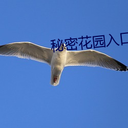 秘密花园入口