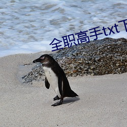 米乐M6·(中国)官方网站