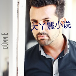 大丫鬟小说