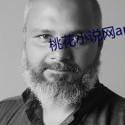 桃花小說網app