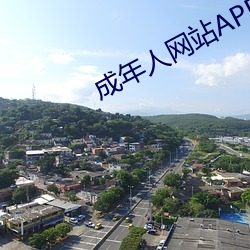 成年人网站APP （武林）