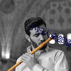 小妇人全部插