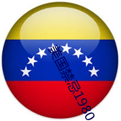美国禁忌1980