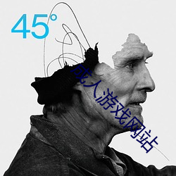 成人游(遊)戏网(網)站