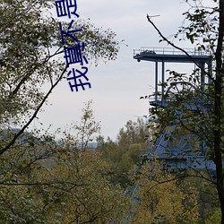 我真不(bù)是魔(mó)神