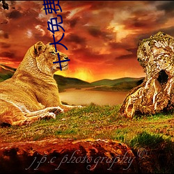 十大免费软件排行榜 （反其道而行之）