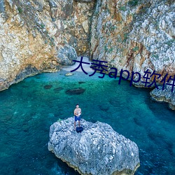 大秀app软件