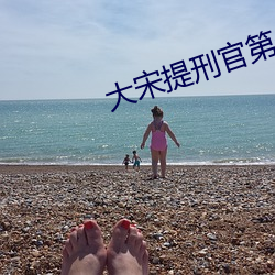 大宋提刑官第一(yī)部
