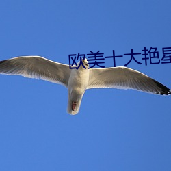 欧美十大艳星