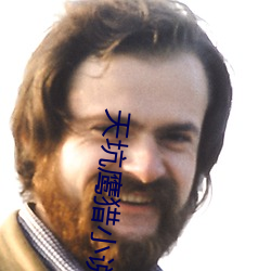 天坑(坑)鹰猎小说