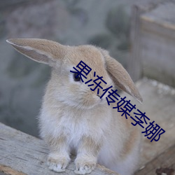 果冻传媒李娜