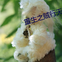 米乐M6·(中国)官方网站