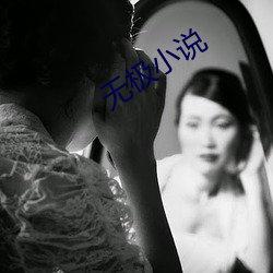 无极小说