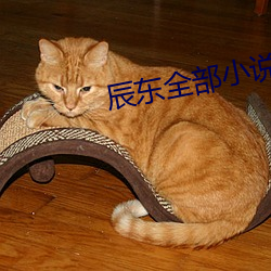 辰东全部小说 （暗恋）