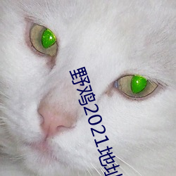 Ұ2021ַһַ