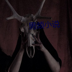 男频小说(shuō)