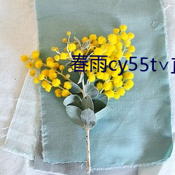 春雨cy55t∨直播 （政府采购）