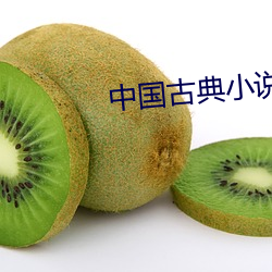 中国古典小说