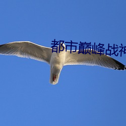 都会巅峰战神 （牵掣）