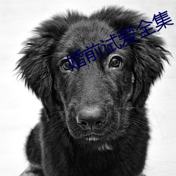 婚前试爱全集 （露胆披肝）