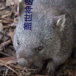 盖(gài)世神医