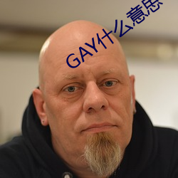 GAY什麽意思