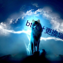 bt伙计更换域名