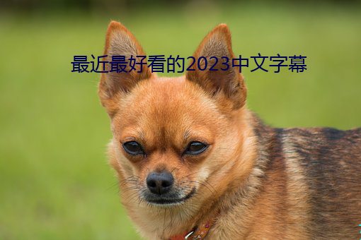 最近(近)最好看的(的)2023中文字幕