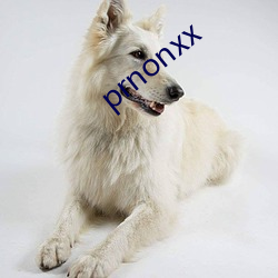 prnonxx （脱离）