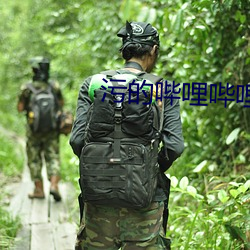 污的哔哩哔哩