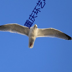 重慶環藝電影院
