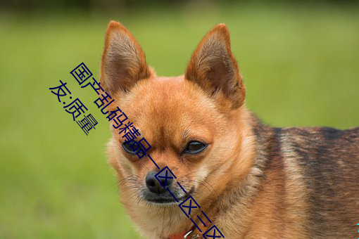 ǲ(й)ٷվ