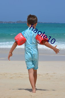 haole10 （避世墙东）