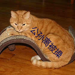 公孙离被操