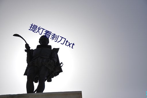 提燈看刺刀txt