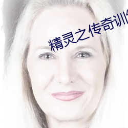 精灵之传奇训练家