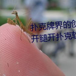 扑克牌界的创新(新)之作(作):挽起裙子(子)迈开腿开扑克软(軟)件强(強)势(勢)来袭