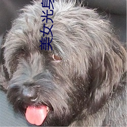 美(美)女光身(身)子