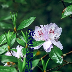 晚娘電影完整版在線觀看高