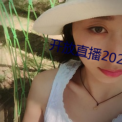 开放直播2022