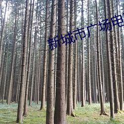 新城市广(guǎng)场电影院(yuàn)