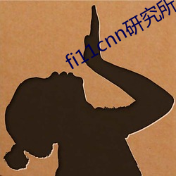 fi11cnn研(研)究所官网