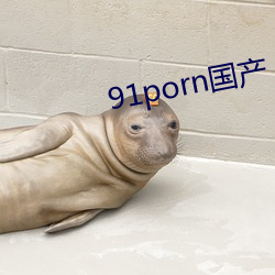 91porn国(國)产