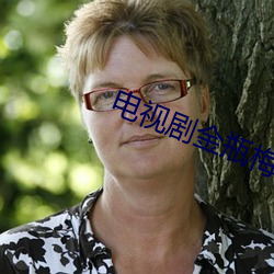 电视剧金瓶梅1 （稠密