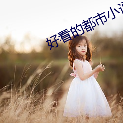 好看的都市(市)小说